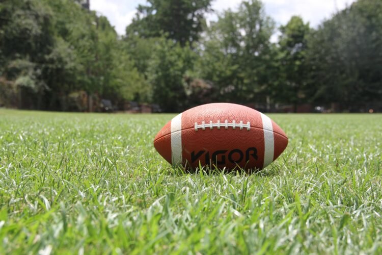 How Fans Can Get Involved in Helping the NFL Go Green 1 India CSR
