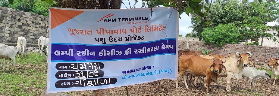 CSR in Gujarat: APM Terminals Pipavav initiates Vaccination Drive for livestock 2 India CSR