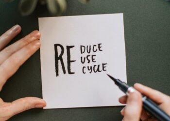 LiFE Movement – Idea for Environmentally Conscious Lifestyle