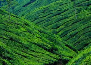 New Study finds India Ranks 8th in Global Biodiversity