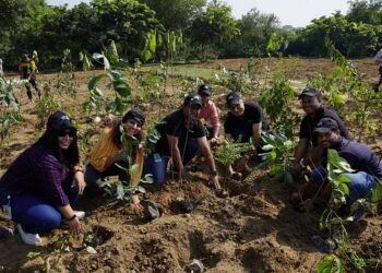 CSR: Recreating urban forest with native species in Delhi to boost biodiversity and climate resilience