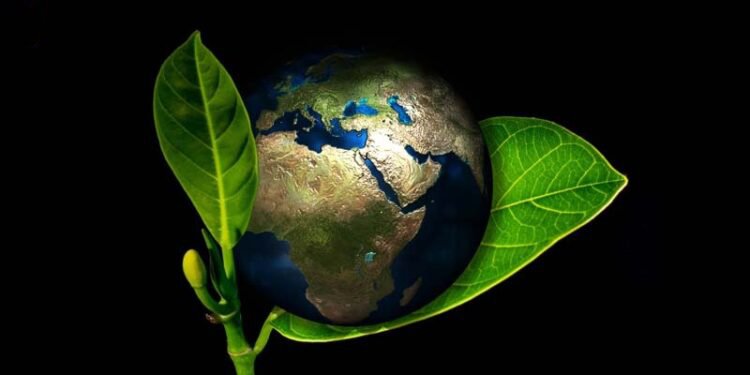 Environmental Responsibility