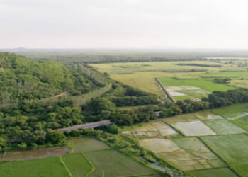 Coal/Lignite PSUs: Water Conservation and Greening Efforts