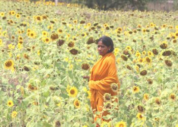 Axis Bank Foundation - India CSR