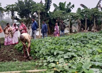 CSR: Adani Foundation Promotes Dual Cropping and High Value Crop Production in Dhamra Port Area