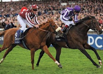 Make the Most Out of Your Bets