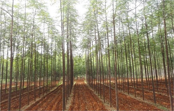 “Growing Together” with Sustainability