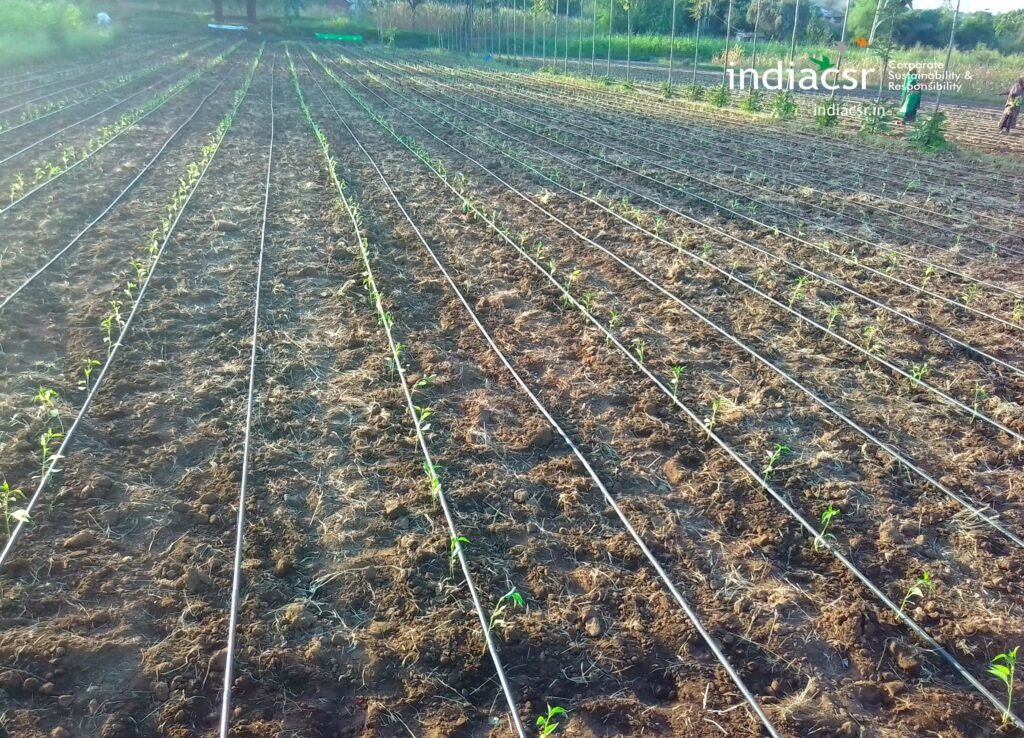 CSR Interview: Tata Trusts' Rural Upliftment Efforts: Soil Conservation Program 3 India CSR