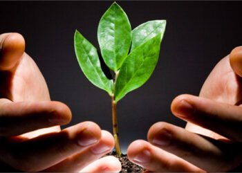 What is a Sustainable Equity Fund An Overview