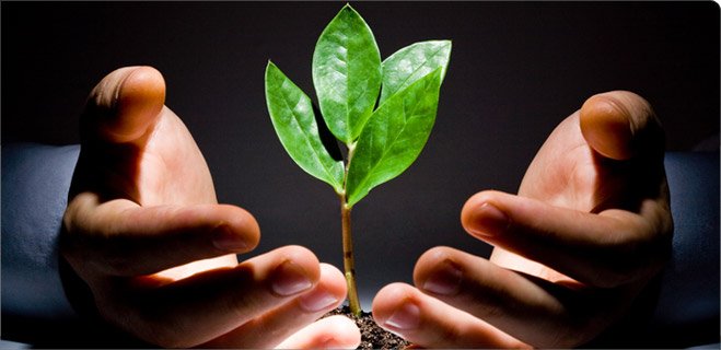 What is a Sustainable Equity Fund An Overview