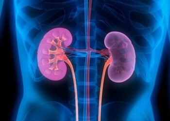 Kidney Transplantation