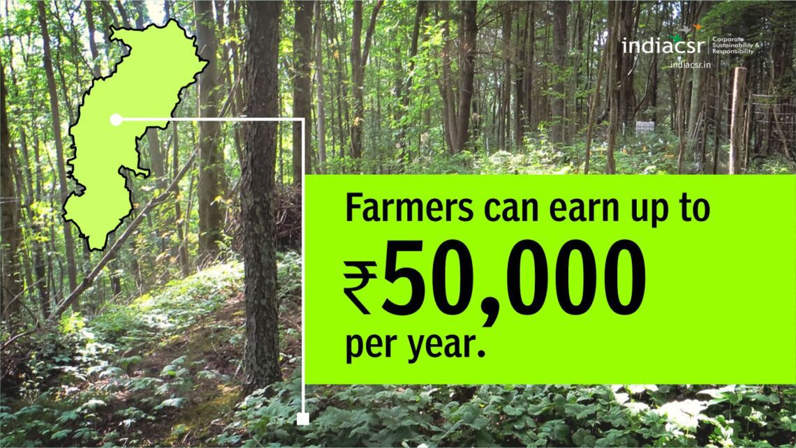 Chhattisgarh to grow 15 Crore trees in 5 years under the nation's first ...