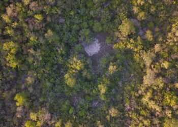 Drones help reverse deforestation and empower local communities