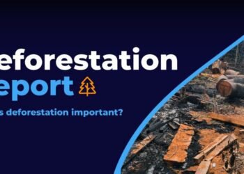 India has lost around 668,400 hectares of forestry to deforestation - 2nd highest in the world