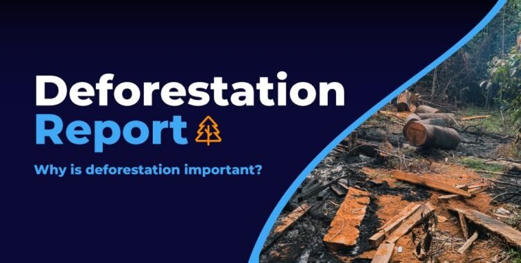 India has lost around 668,400 hectares of forestry to deforestation - 2nd highest in the world