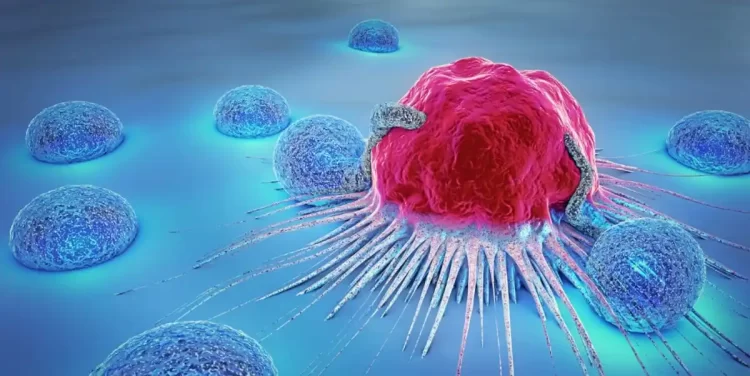 Corpus Fund for Cancer Research