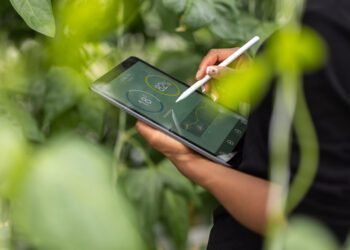 Chief Sustainability Officer