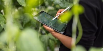 Chief Sustainability Officer