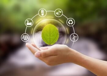 Importance of making Gaushalas sustainable for clean energy goals