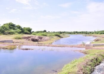 Agricultural Growth in Gujarat