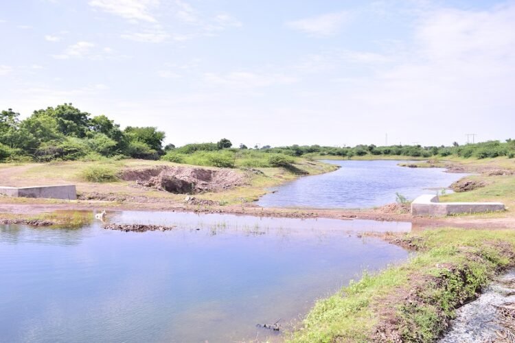 Agricultural Growth in Gujarat