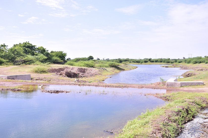 CSR: Nayara Energy's Water Management Efforts Drive Agricultural Growth in Gujarat 1 Agricultural Growth in Gujarat