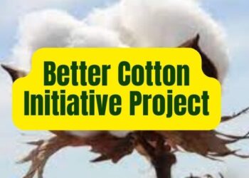 Better Cotton Initiative Project