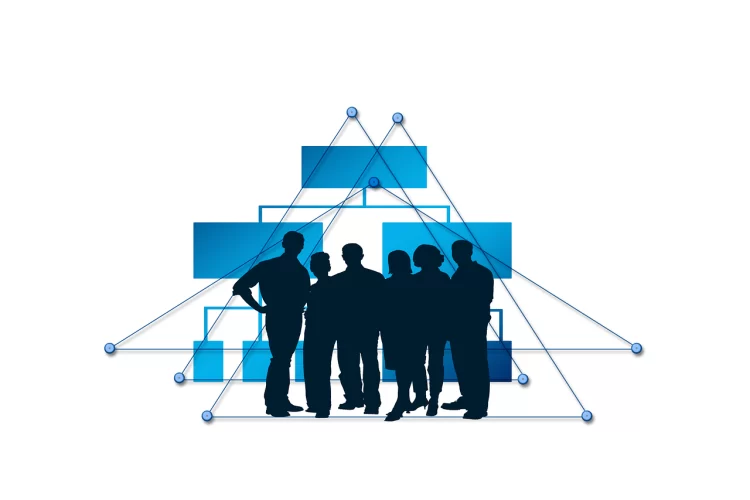 CFOs
