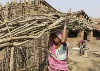 Household Work by Women