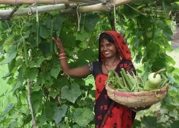 S M Sehgal Foundation empowers rural communities in Uttar Pradesh