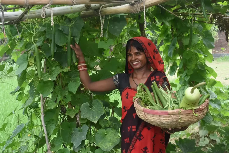 S M Sehgal Foundation empowers rural communities in Uttar Pradesh