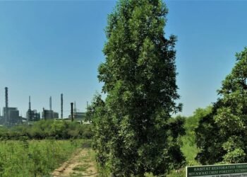 Hindustan Zinc Nurturing Biodiversity with Miyawaki Plantation