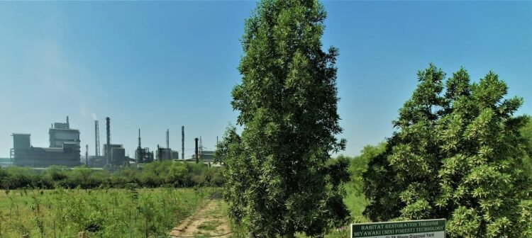 Hindustan Zinc Nurturing Biodiversity with Miyawaki Plantation