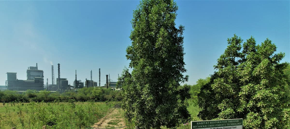 CSR: Hindustan Zinc Nurturing Biodiversity with Miyawaki Plantation 1 Hindustan Zinc Nurturing Biodiversity with Miyawaki Plantation