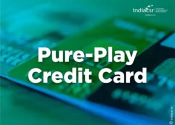 What is a Pure-Play Credit Card?