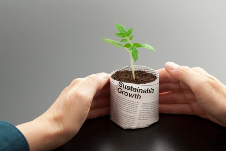 Sustainable Growth