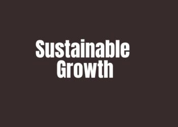Sustainable Growth