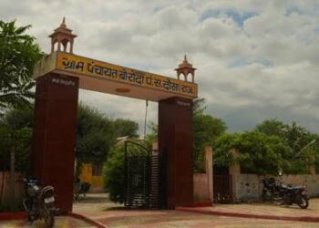 How Gram Panchayats can protect the environment and ensure the well-being of their villages and people