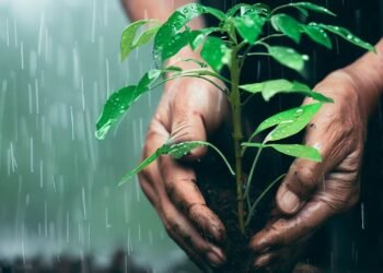 Unlocking the Power of Green: 7 Benefits of Tree Plantation in Conservation Efforts