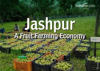 Jashpur: A Fruit Farming Economy