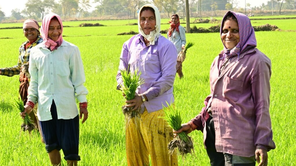 Chhattisgarh Farmers Receive Rs. 5,751 Cr in Kharif Loans for 2025 2 India CSR