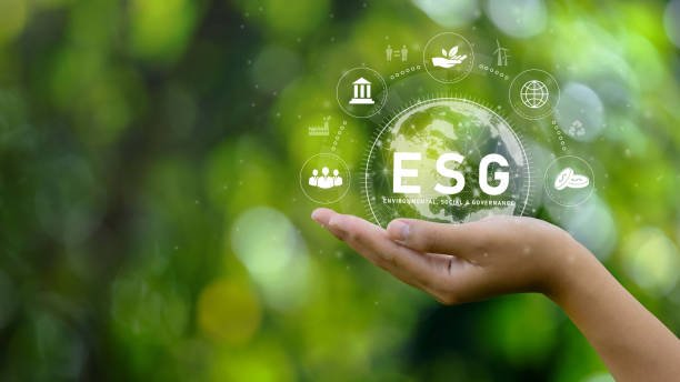 Effective Strategies for Businesses to Enhance ESG Reporting