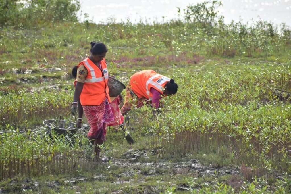 Visionary of Compassion: An Exclusive Insight into Hanuman Dass and His Transformative Journey in CSR Landscape 4 Go Dharmic - Visionary of Compassion
