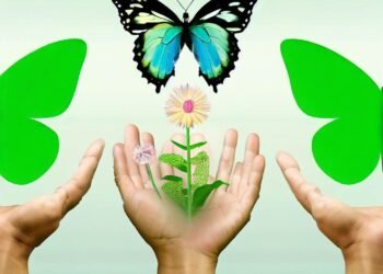 The green economy, care economy, and giving economy are all complementary and can work together to create a more sustainable and equitable future.