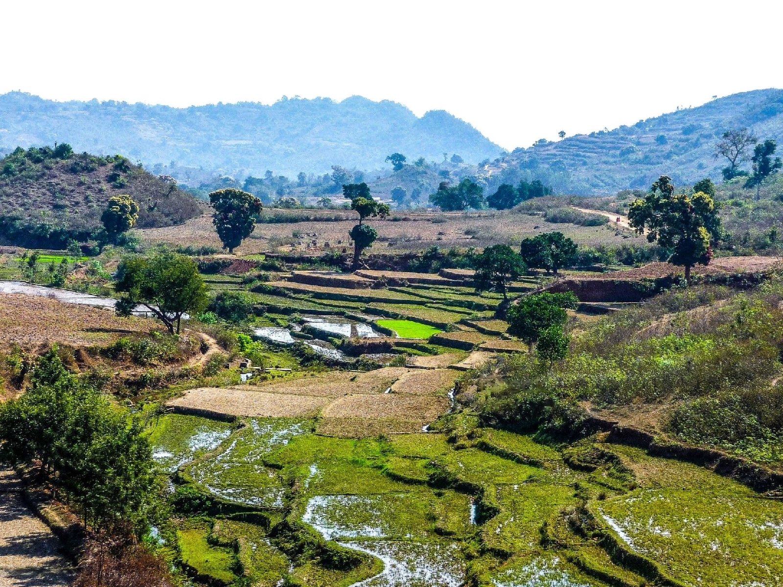 Araku Valley: The Deep-rooted Coffee Connection I India CSR