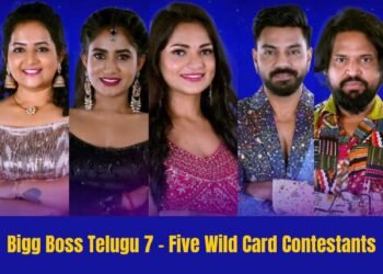 Bigg Boss Telugu 7: Five Wild Card Contestants