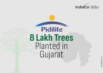 Pidilite Achieves Milestone with 8 Lakh Trees Planted in Gujarat