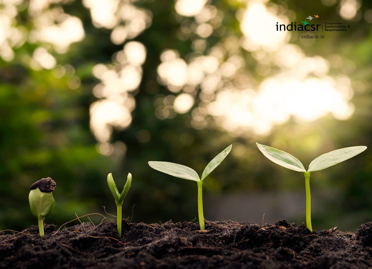 Bridging the Knowledge - Action Gap with Tech & Data in Sustainable Agriculture 1 Sustainable Agriculture
