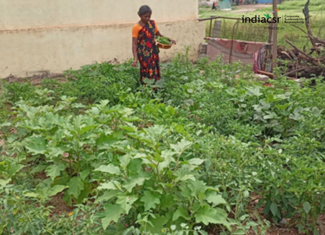 Kudithini CSR: ACC Empowers Karnataka's Rural Women with Kitchen Garden Program I ...