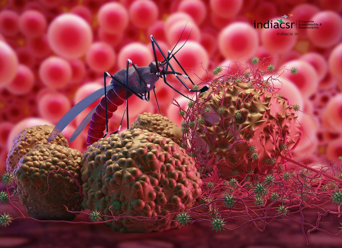 Zika Virus